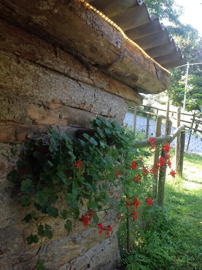 Agriturismo Barcola Grandola ed Uniti Exterior foto